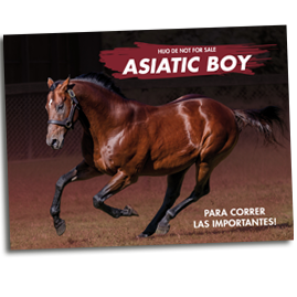 Asiatic Boy