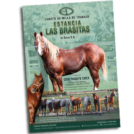 HEstancia Las Brasitas de Salsa sa para Anuario CACCM