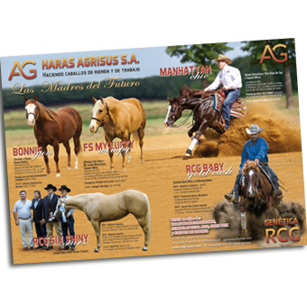 Haras Agrisus para Anuario CACCM