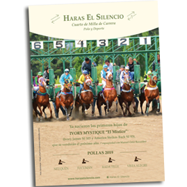 Haras El Silencio de Diego Martire para Anuario CACCM