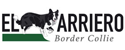 El Arriero Border Collie