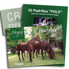 Lote de Yeguas Alberto Pedro Heguy y Remate 2013