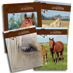 Revistas Haras La Valentina