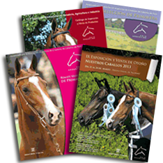 Remates de la Asociación Argentina de Criadores de Caballos de Polo